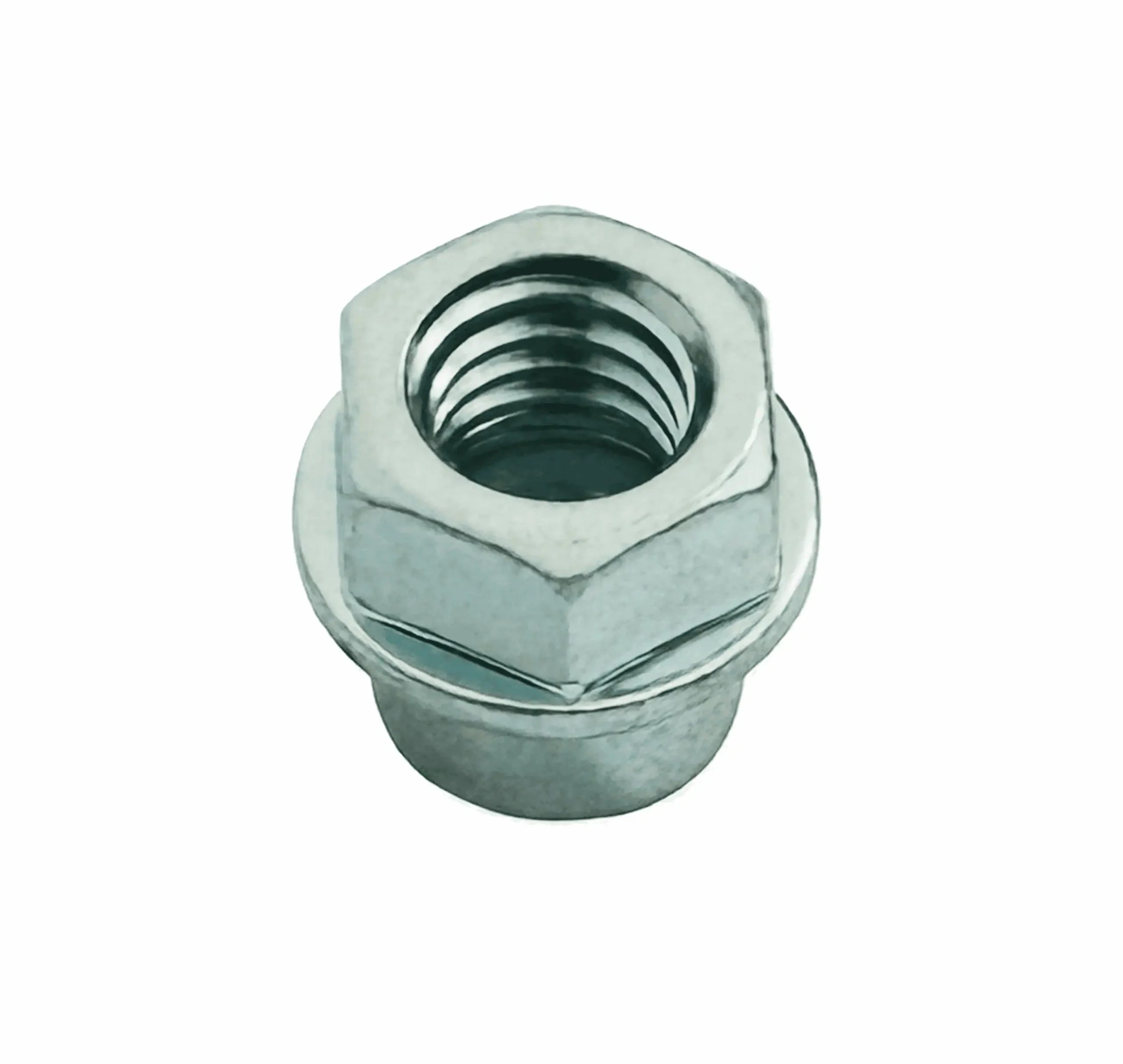 Hex Flange Nut